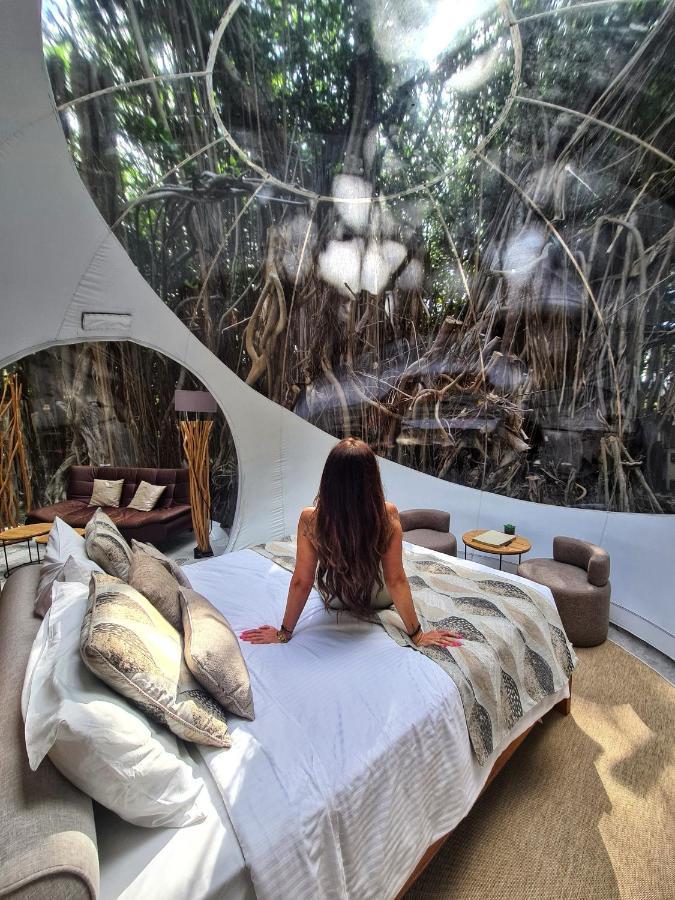 Bubble Island Lodge