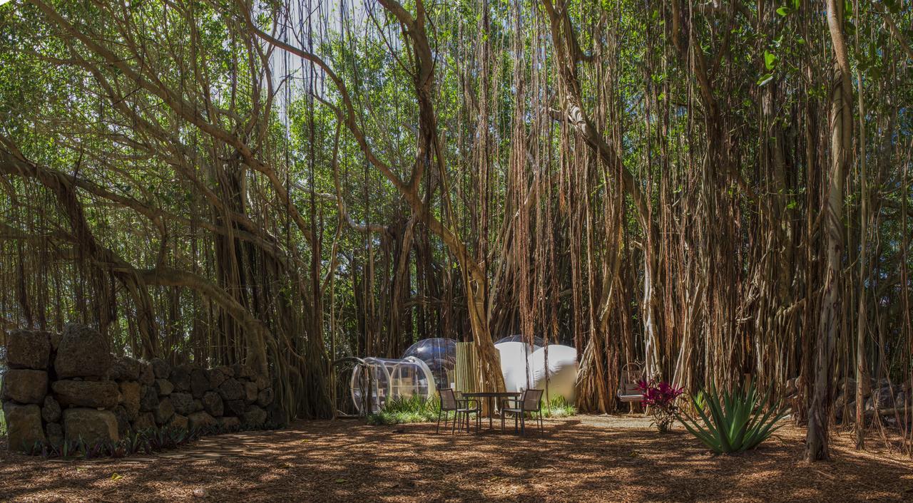 Bubble Island Lodge *