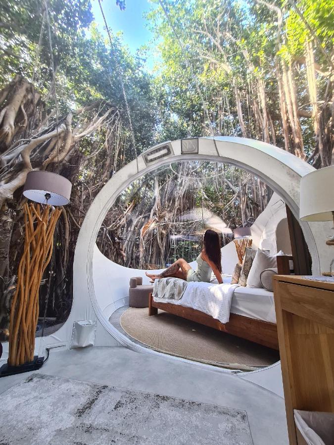 Lodge Bubble Island Ile aux Cerfs